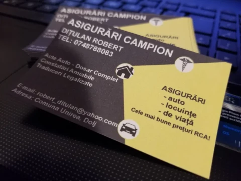 Asigurări Campion